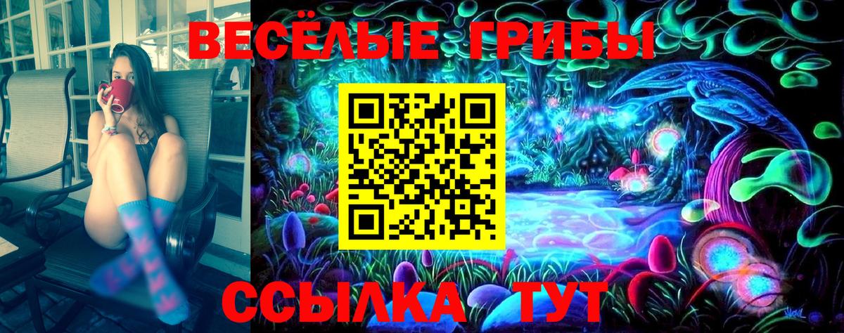 Галлюциногенные грибы ЛСД Орёл